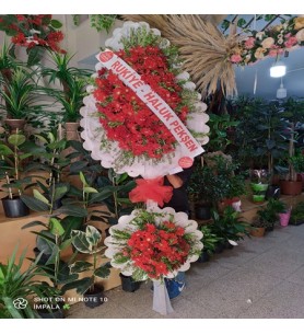 Çelenk Çiftli Canlı Gerbera